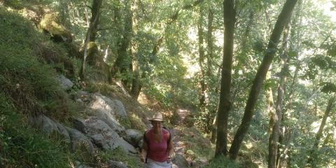 La Forêt - Coutainville - Été 2022