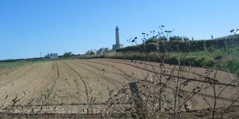 Île de Batz