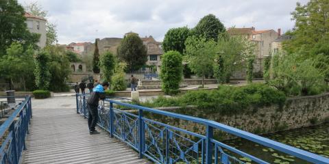Niort