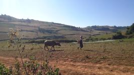 trekking19