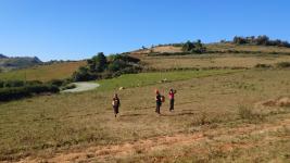trekking20
