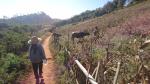 trekking24