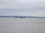 baie-mt-st-michel-12
