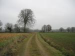 tremeur_campagne_01