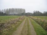 tremeur_campagne_03