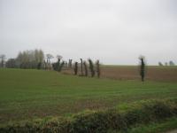 tremeur_campagne_07