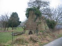 tremeur_campagne_10