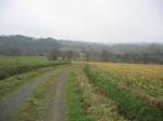 tremeur_campagne_12