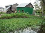 kampot-10