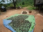 kampot-45