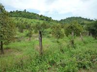kampot-46