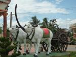 kampot-49