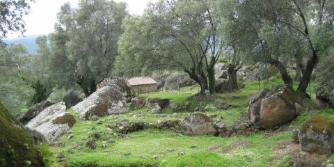 Filitosa
