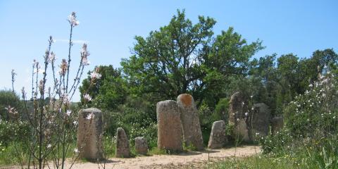 Corse