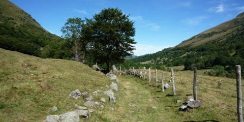 Massif Central