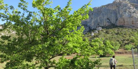 Provence