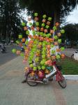 ben-tre-29