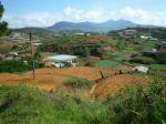 dalat-48