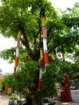 saigon-15