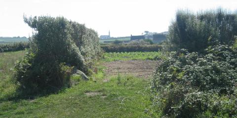 Île de Batz