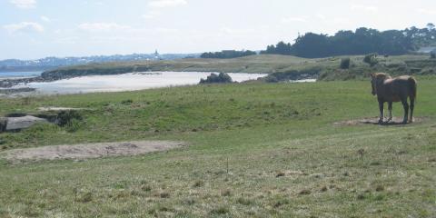 Île de Batz