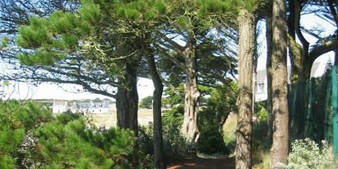 Île de Batz