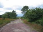 paimpont_31