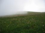 lioran_38