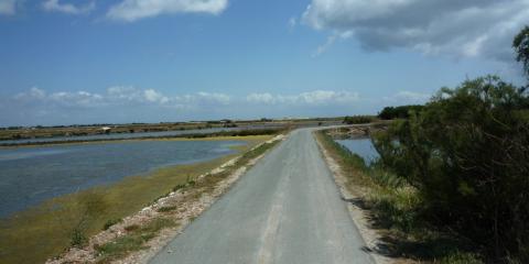Île de Ré