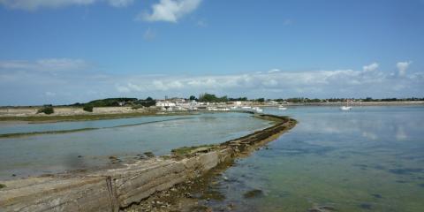 Tourisme