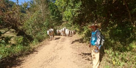 Trekking Kalaw - Lac Inlé