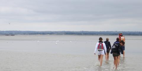 La baie du Mont St-Michel
