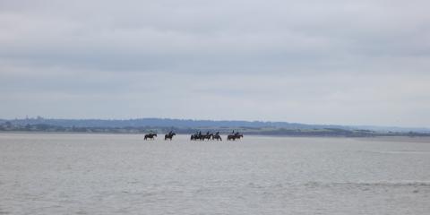 La baie du Mont St-Michel
