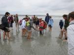 baie-mt-st-michel-18