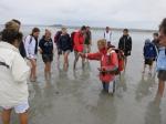 baie-mt-st-michel-19