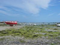 brignogan-30