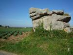brignogan25