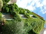 clisson-19