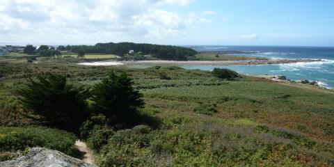 Île Grande