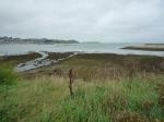 lannion-perros04