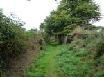 lannion-perros05