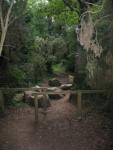 loctudy_46