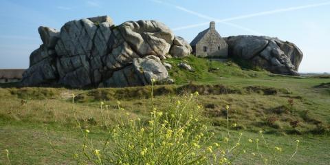 Le Meneham