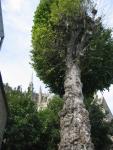 mtstmichel_033