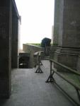 mtstmichel_072