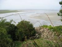 mtstmichel_093