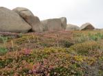 perros-guirec-05