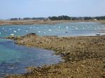 perros-guirec-18