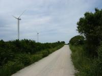 ploumoguer-36