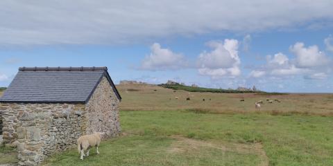 Randonnée Finistère Nord